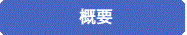 概要